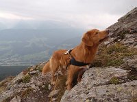 Picui (7)